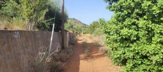 Rural land for sale in Pt Paraje Bolavar, imagen 9