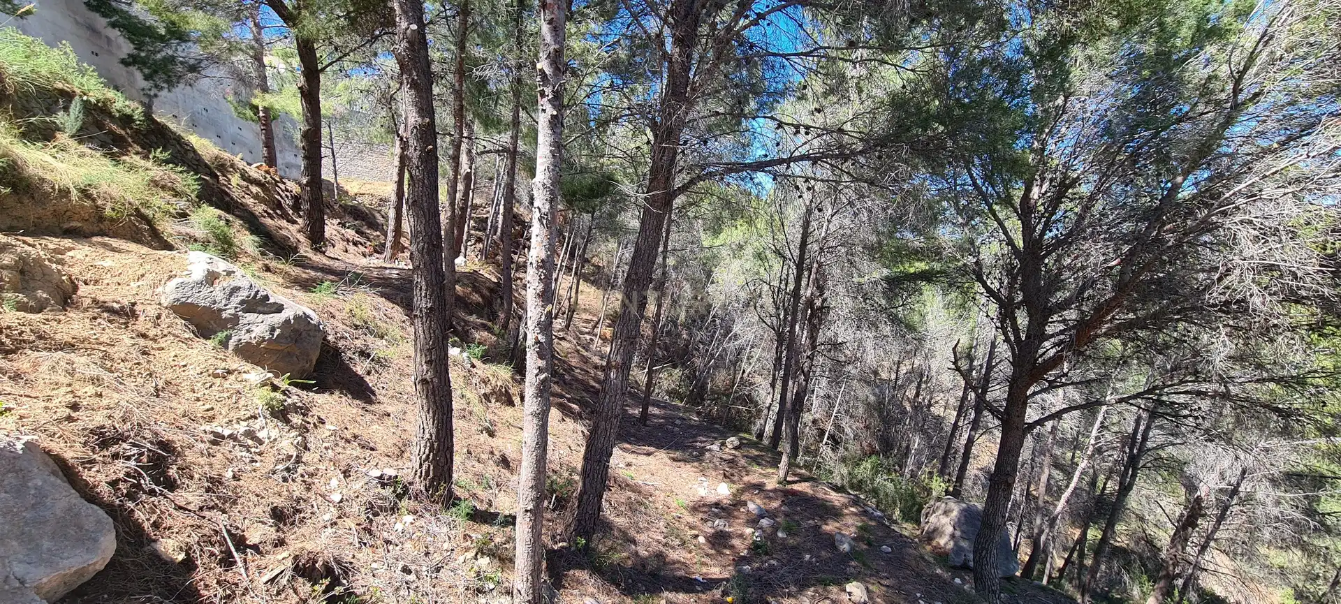 Residencial en venta en Calpe / Calp