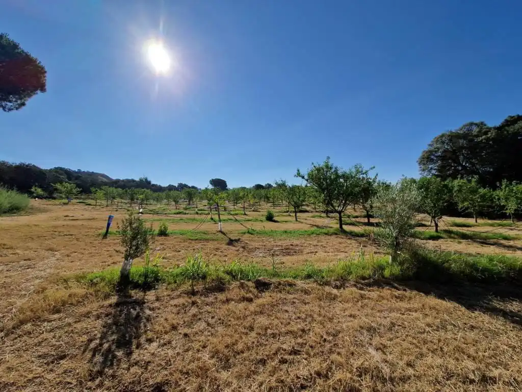 Terreno en venta en Binaced
