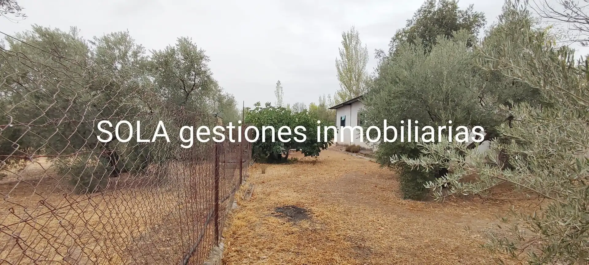 Terreni e lotti in vendita a Úbeda, imagen 9