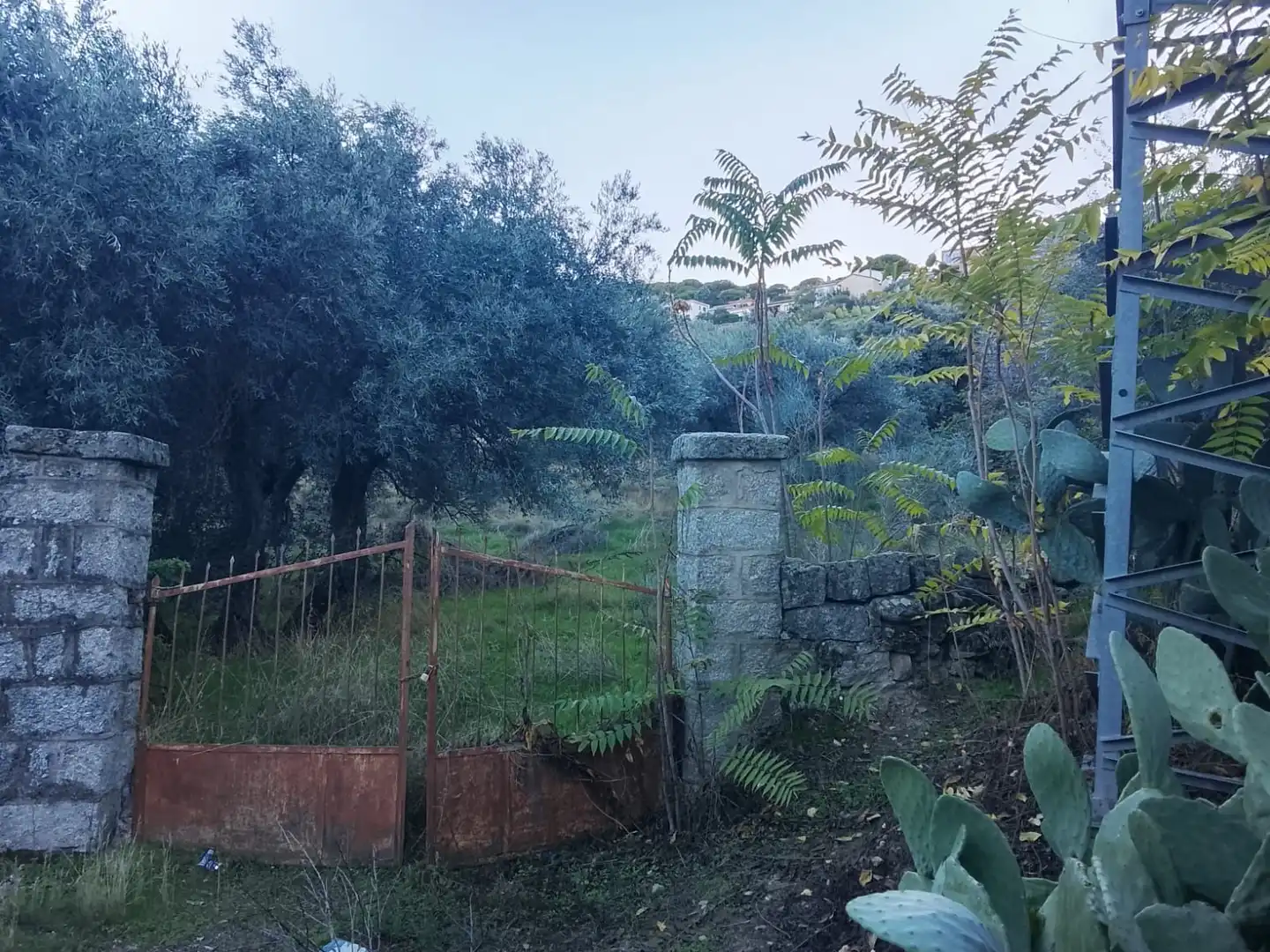 Terreni e lotti in vendita a El Hoyo de Pinares, imagen 3