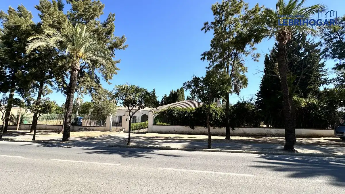 Vista exterior de Casa o chalet en venta en Lebrija con Terraza