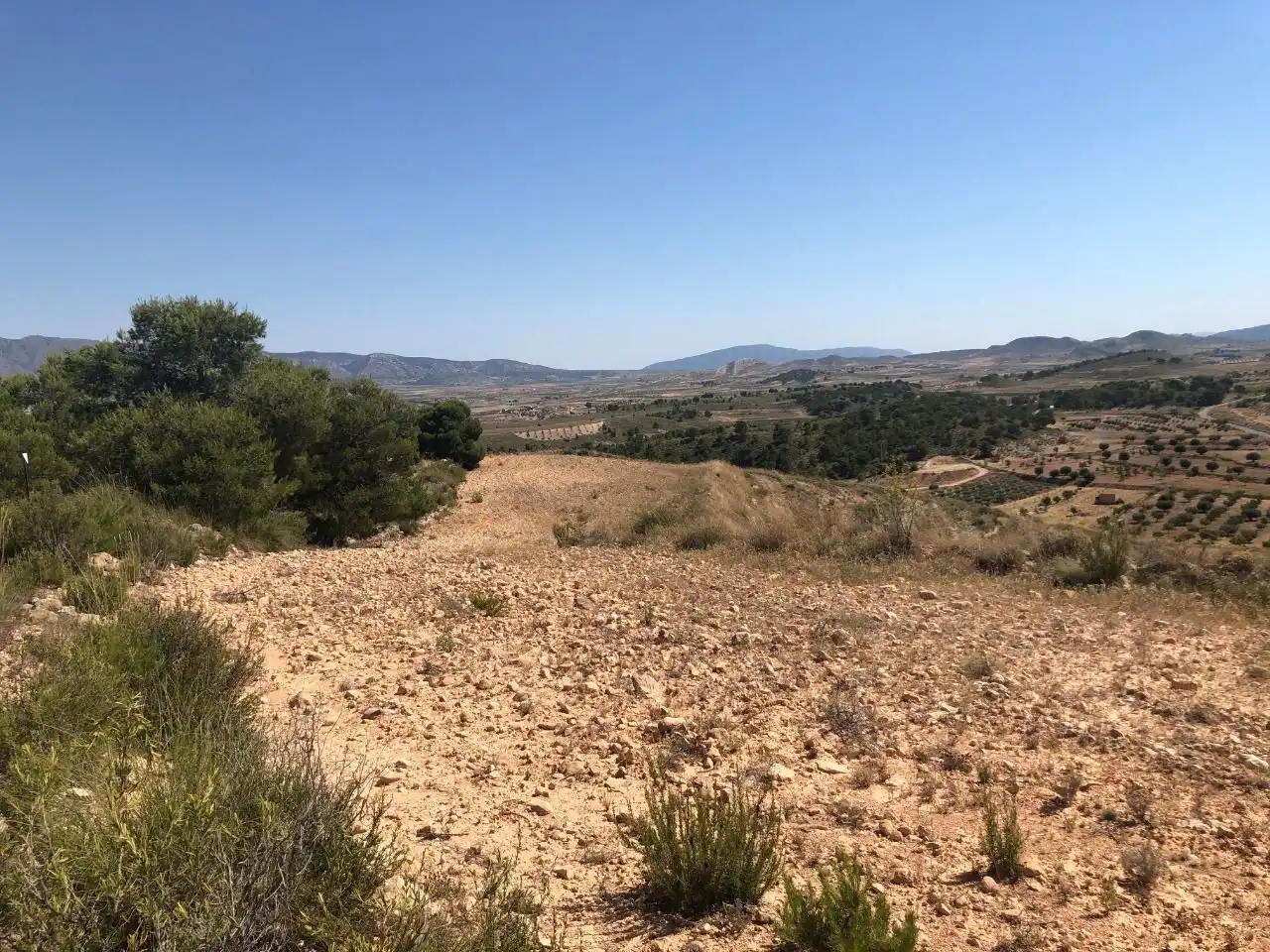 Rustikales Grundstück zum Verkauf in Jumilla, imagen 5