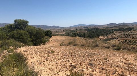 Parcela Urbanizable en La Zarza Jumilla 37.566 m, immagine 5