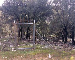 Grundstücke zum verkauf in Pozo Alcón