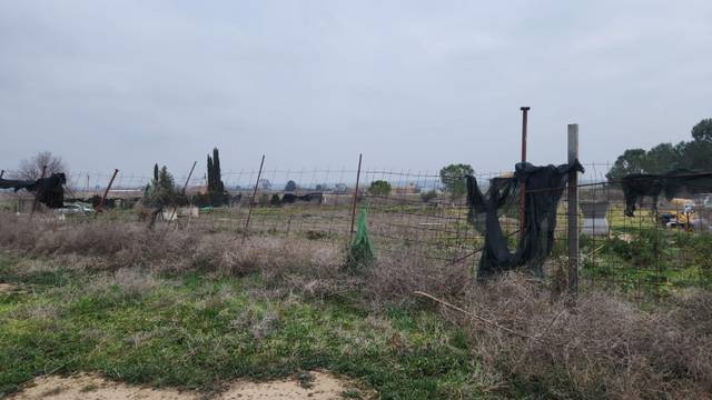 Terreno residencial en Venta en Camí de Corbins en Torre-serona