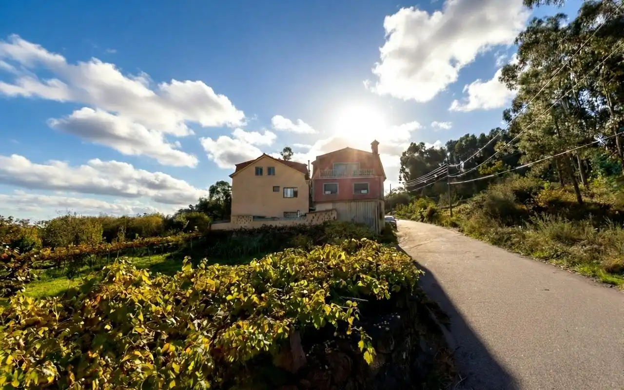 Vista exterior de Casa o chalet en venta en Vigo  con Jardín privado