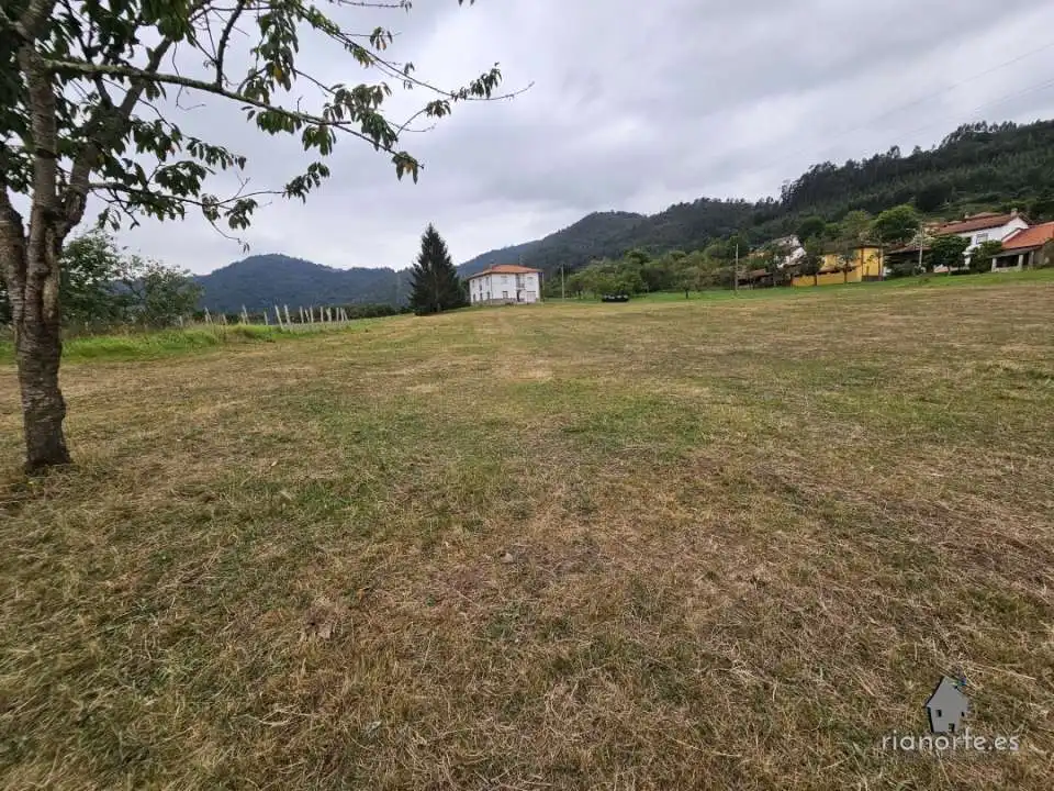 Terreno rústico en venta en Candamo, imagen 3