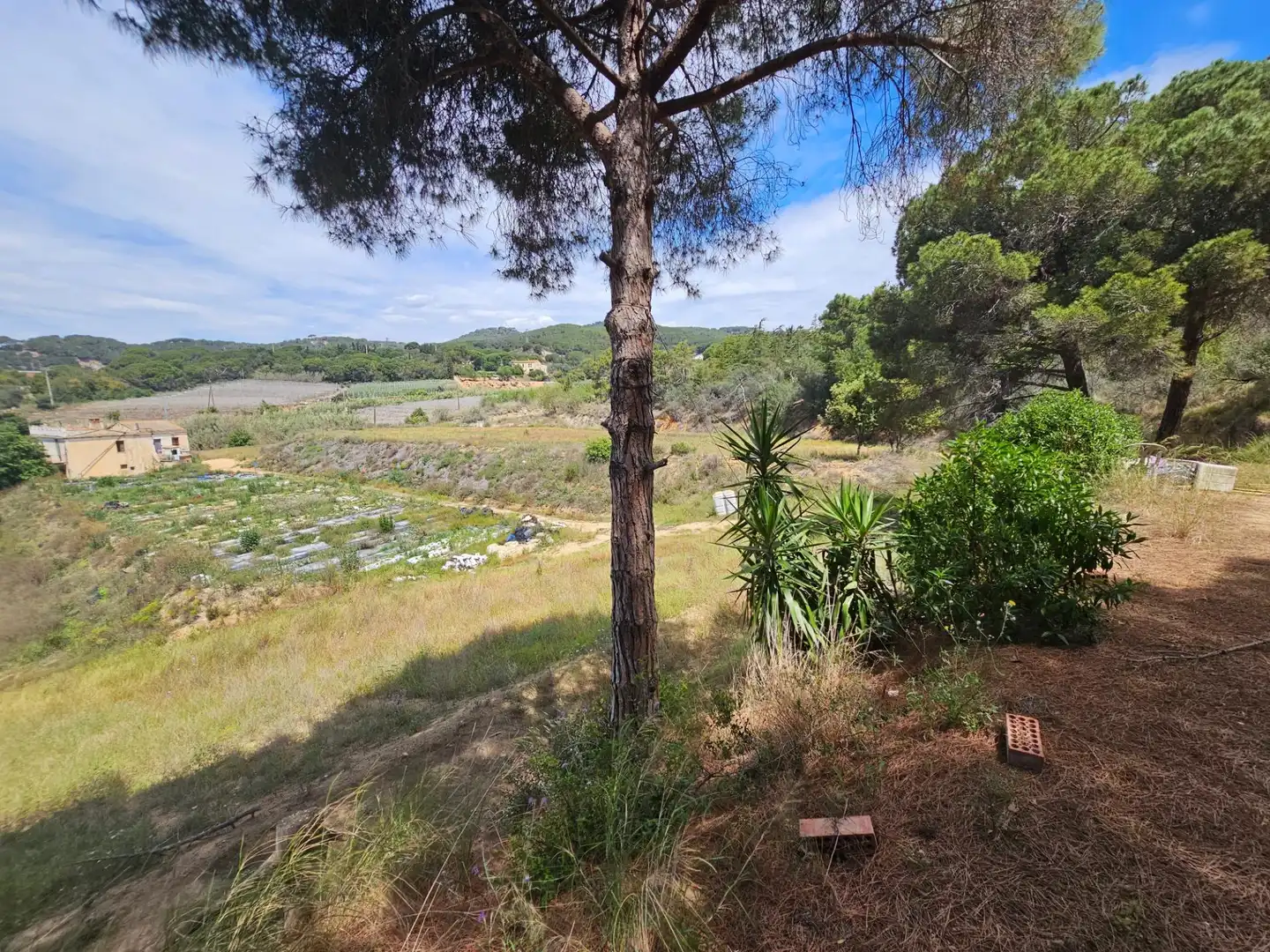 Finca rústica en venta en Canet de Mar con Jardín privado