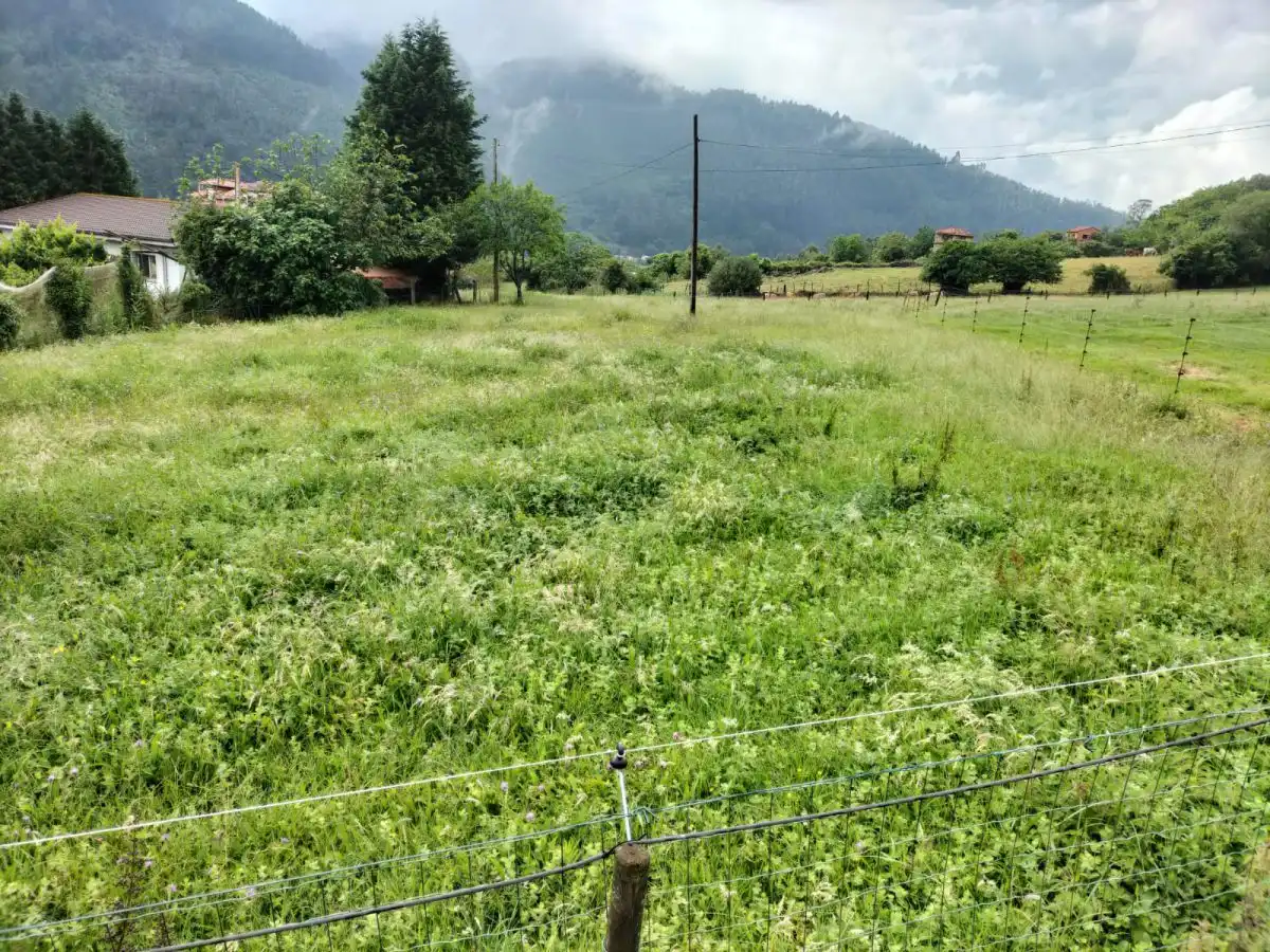 Residential land for sale in Grado, imagen 4