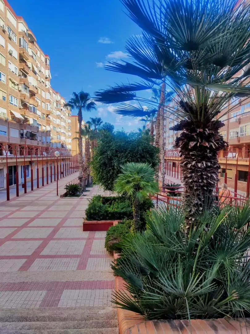 Vista exterior de Pis en venda en Alicante / Alacant amb Calefacció i Piscina comunitària