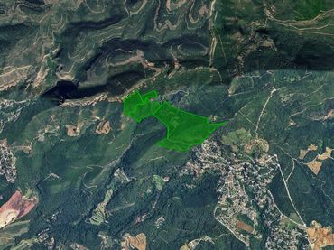 Terreno rústico en venta en Ptda Puig Llunell Coll de Betllori Turó Roig