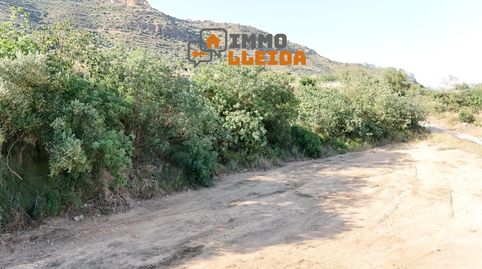 Photo 3 of Land for sale in Partida la Solana, Camarasa, Lleida