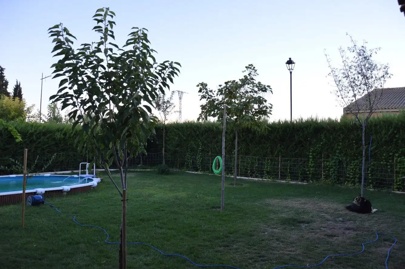 Jardín de Casa o chalet en venta en Torre del Burgo con Aire acondicionado, Jardín privado y Terraza