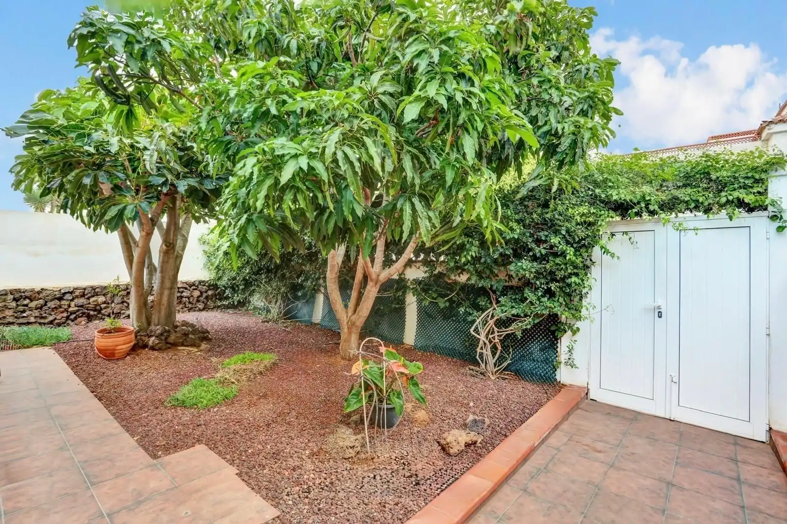 Jardín de Casa o chalet en venta en Arona