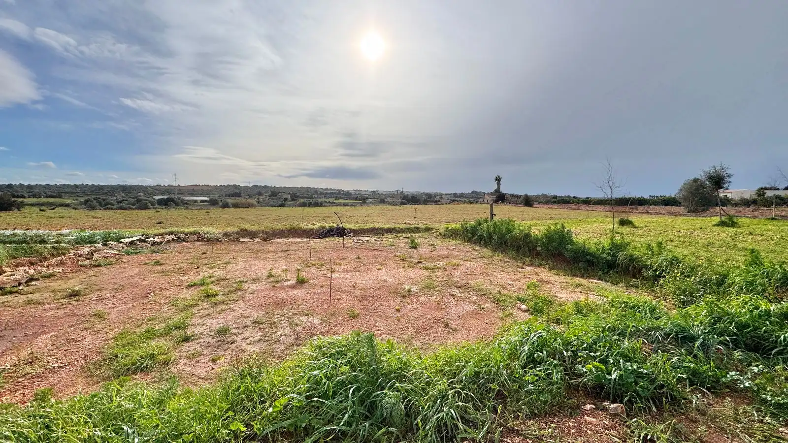 Maison rustique avec jardin à vendre à Sa Pobla, imagen 8