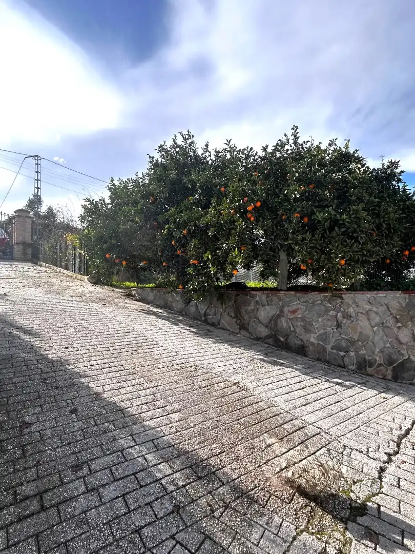 Villa mit Pool zum Verkauf in Carril Huertas Viejas, imagen 41
