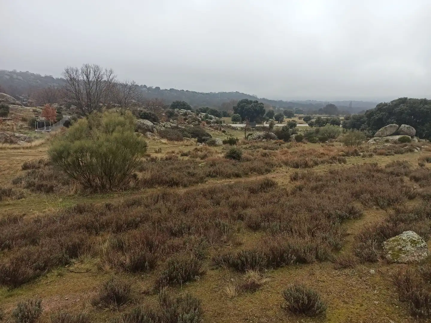 Terreno rustico in vendita a Zarzalejo, imagen 17