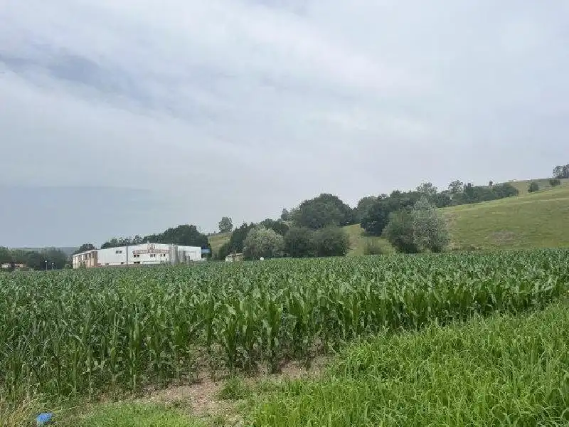 Terreni e lotti in vendita a Riotuerto, imagen 59