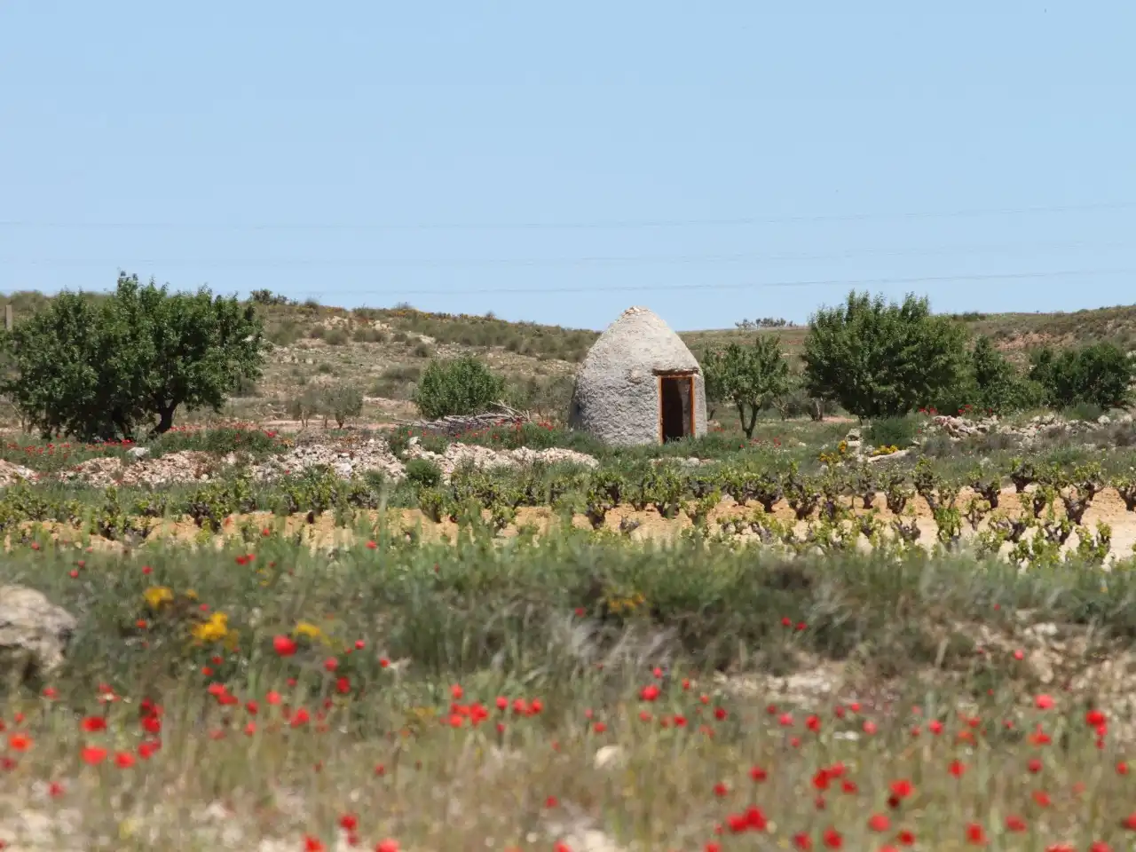 Jardín de Terreno en venta en Alborea, Albacete