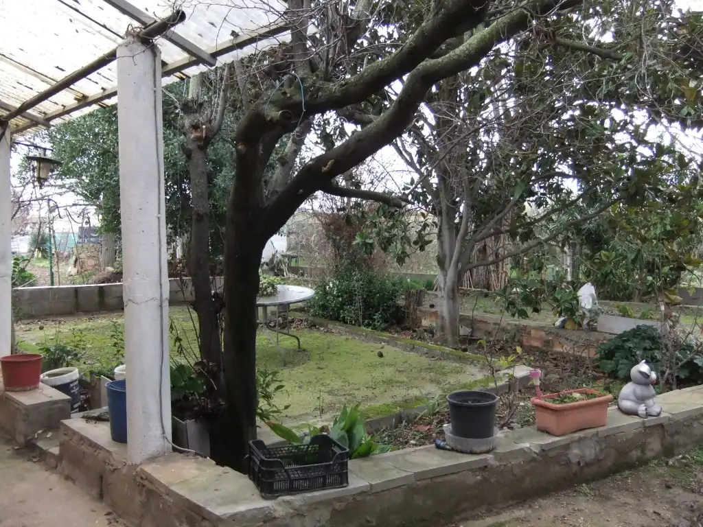 Jardí de Terreny en venda en Les Borges Blanques
