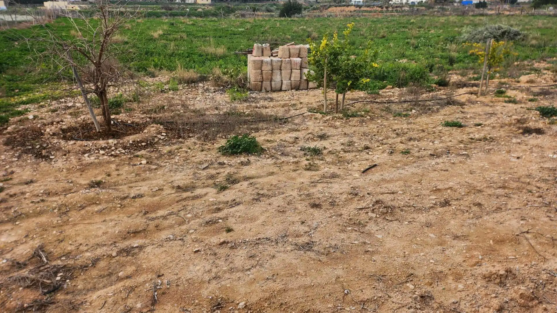 Finca rústica en venda en Novelda amb Terrassa i Traster