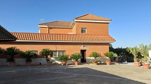 Foto 2 de Finca rústica en venta en Villanueva del Río y Minas, Sevilla