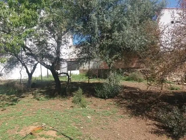 Maison à vendre à Fuente Obejuna, imagen 3