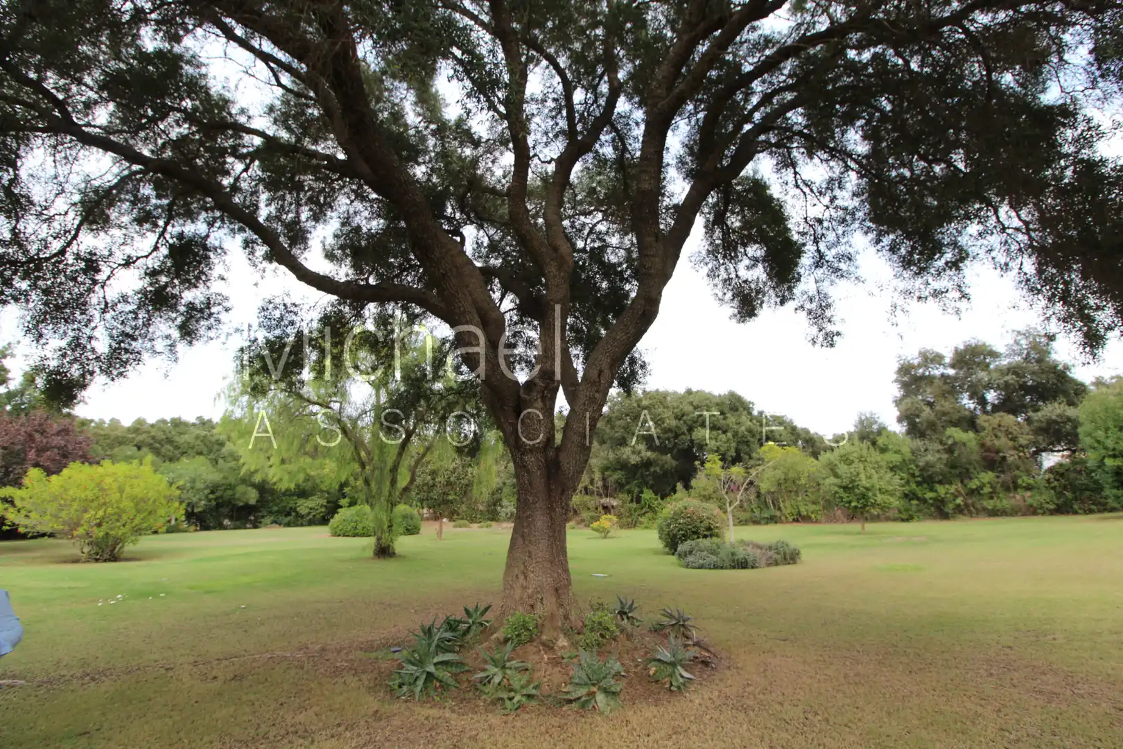 Terreni e lotti in vendita a Sotogrande Alto, imagen 4