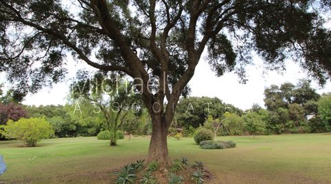 Parcela urbana en Sotogrande Alto, imatge 4