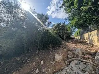 Terreno residencial en venta en Alberic, imagen 10