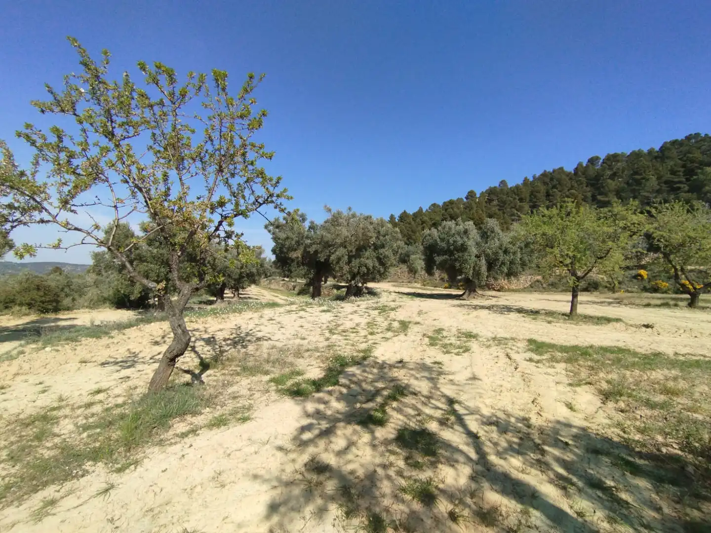 Terreni e lotti in vendita a La Fresneda, imagen 7