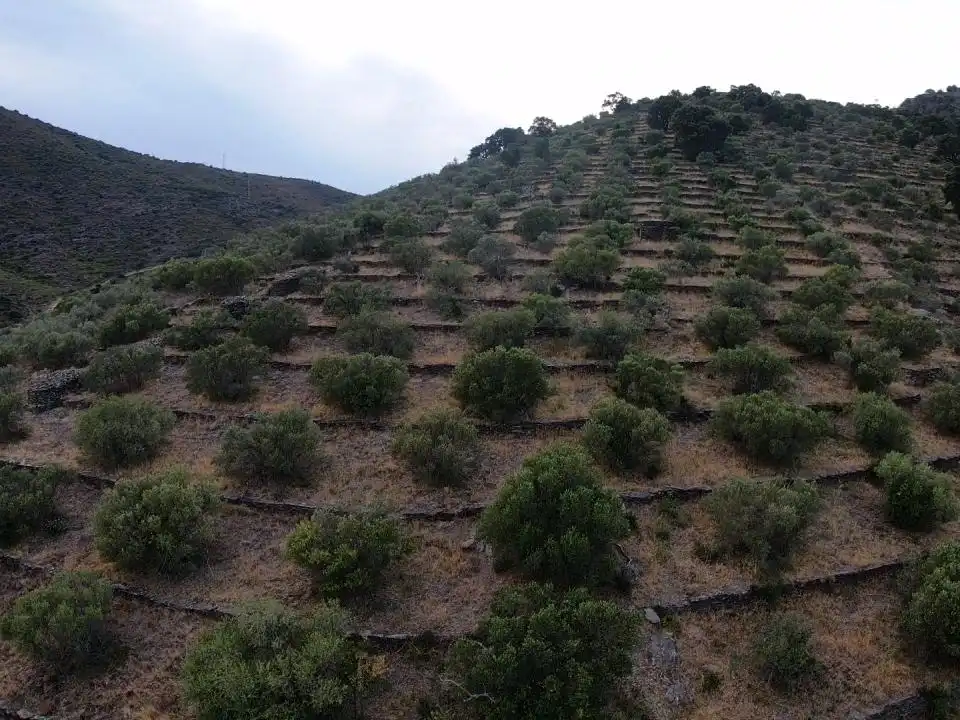 Lands and plots for sale in Territorio Surés, imagen 7