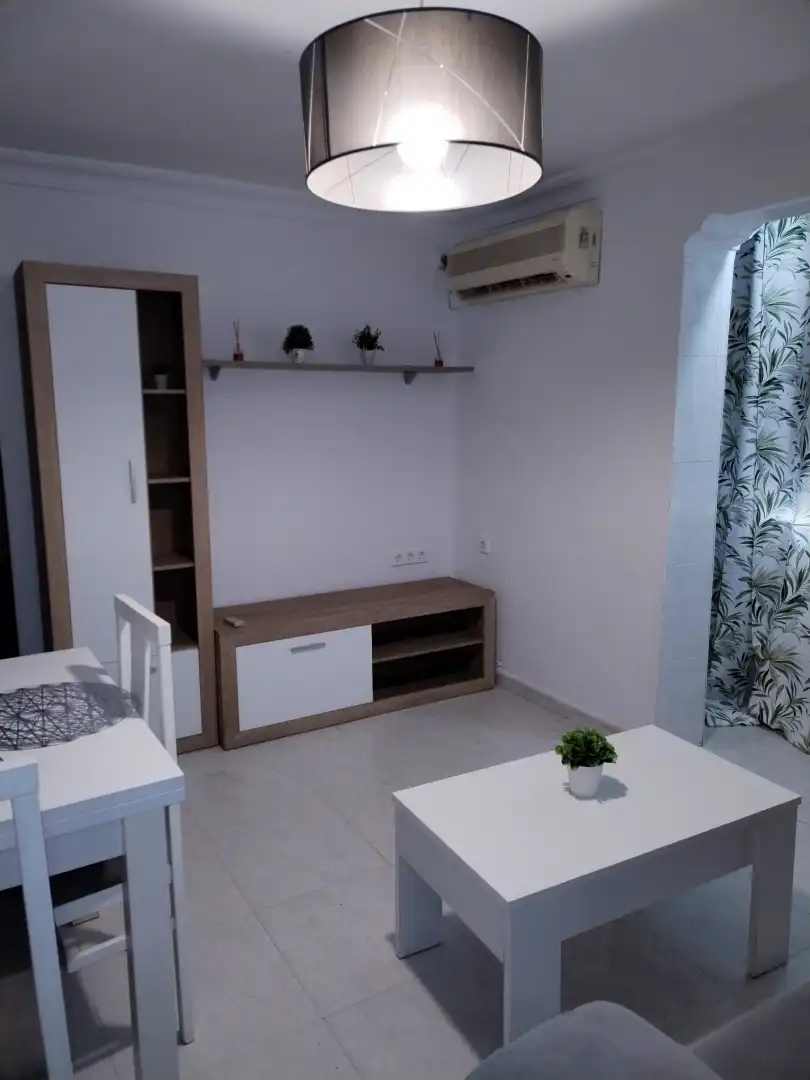 Wohnung mit Terrasse zur Miete in Calle Palmera Antigua 12, imagen 5