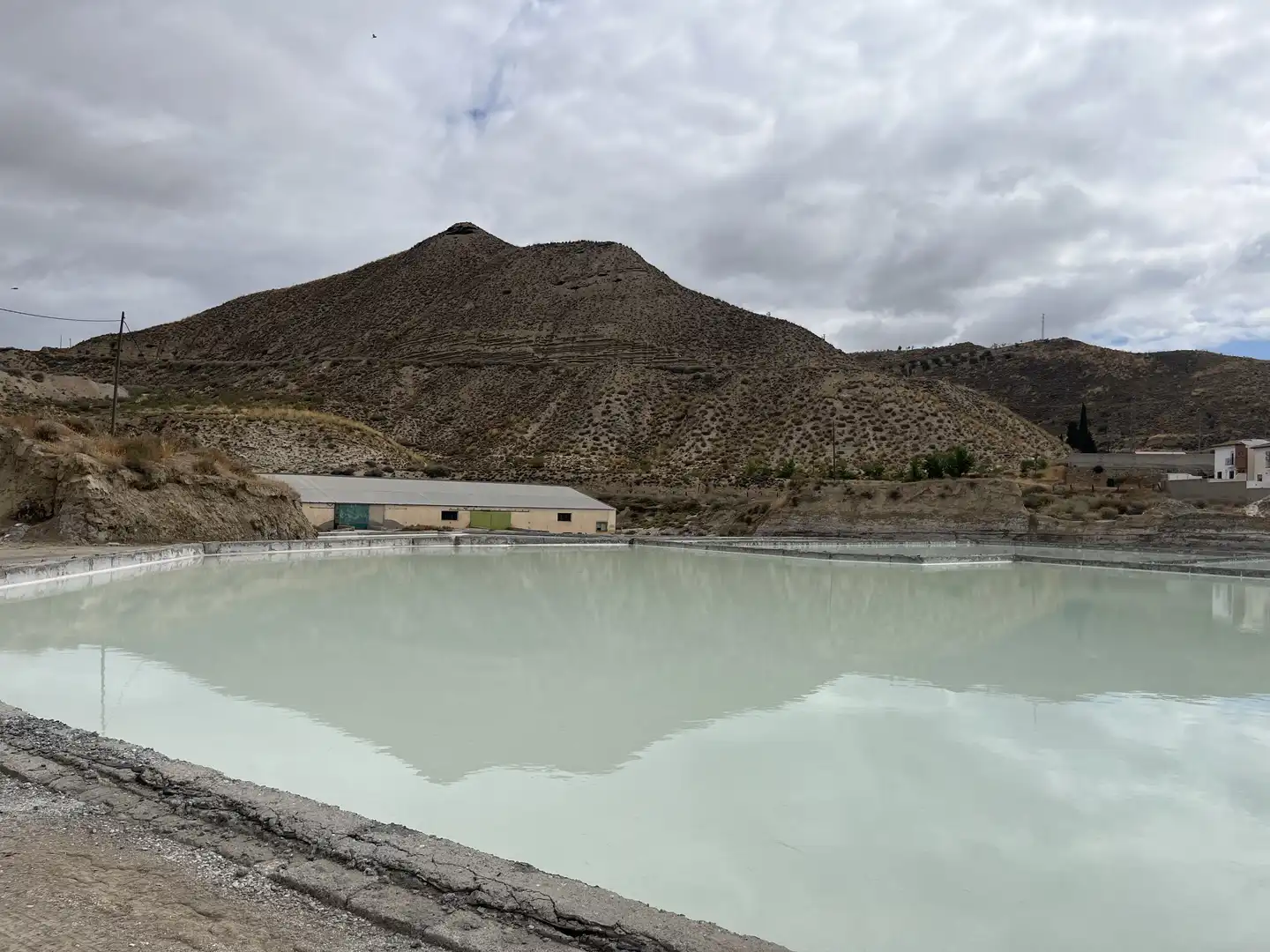 Swimming pool of Industrial land for sale in La Malahá
