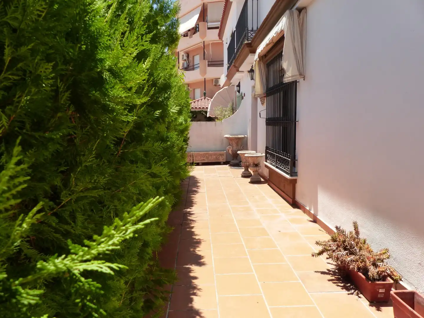 Habitatge amb terrassa en venda a CRUZ ROJA, imagen 37