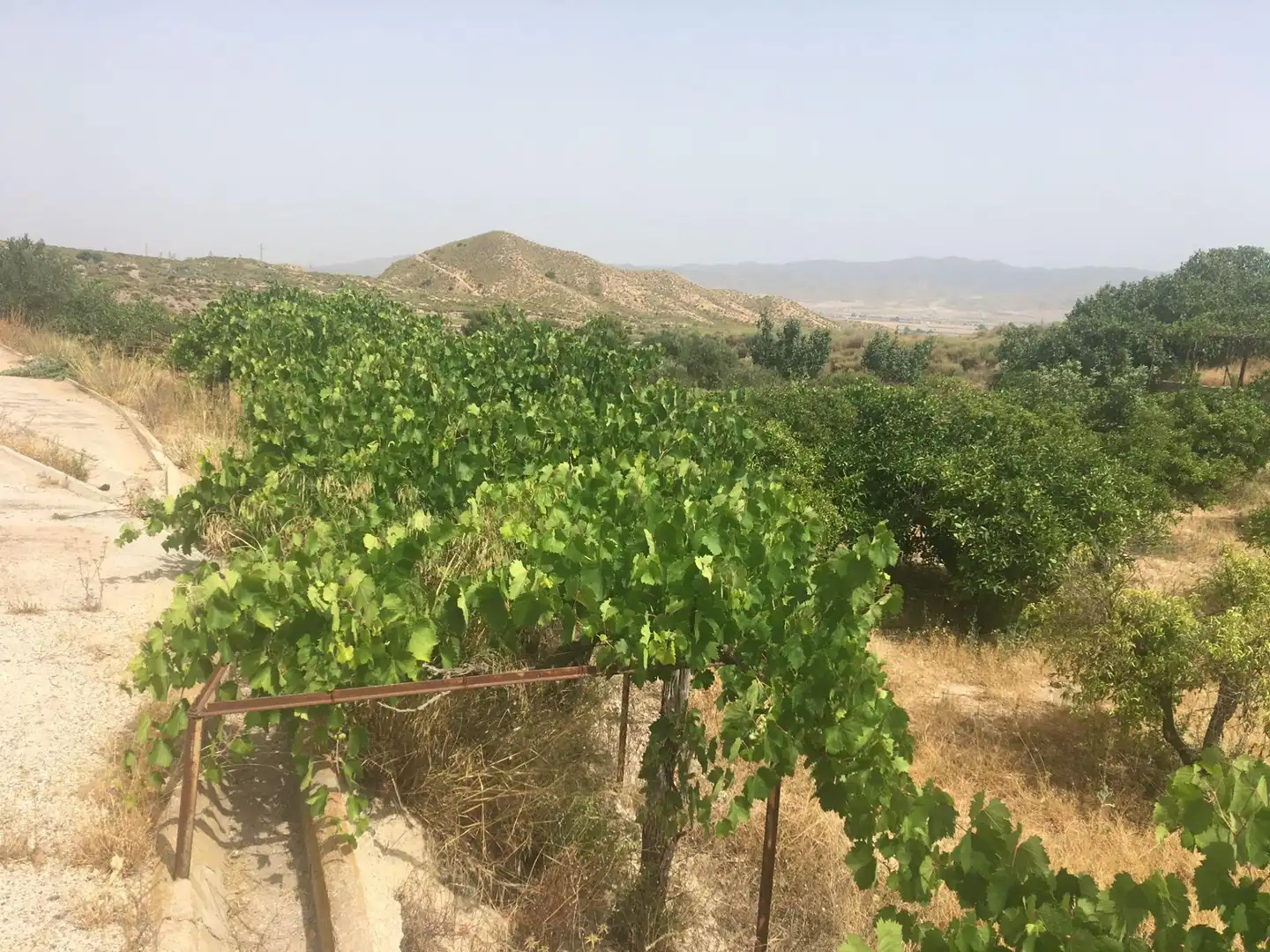 Country house zum Verkauf in Lorca mit Privatgarten und Schwimmbad