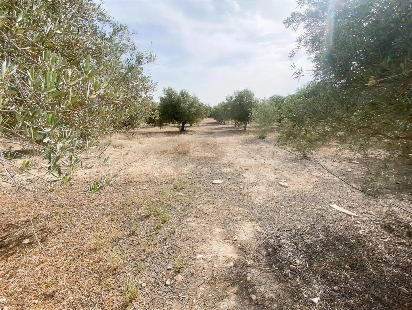 Villa à vendre à Partida Campet, imagen 29