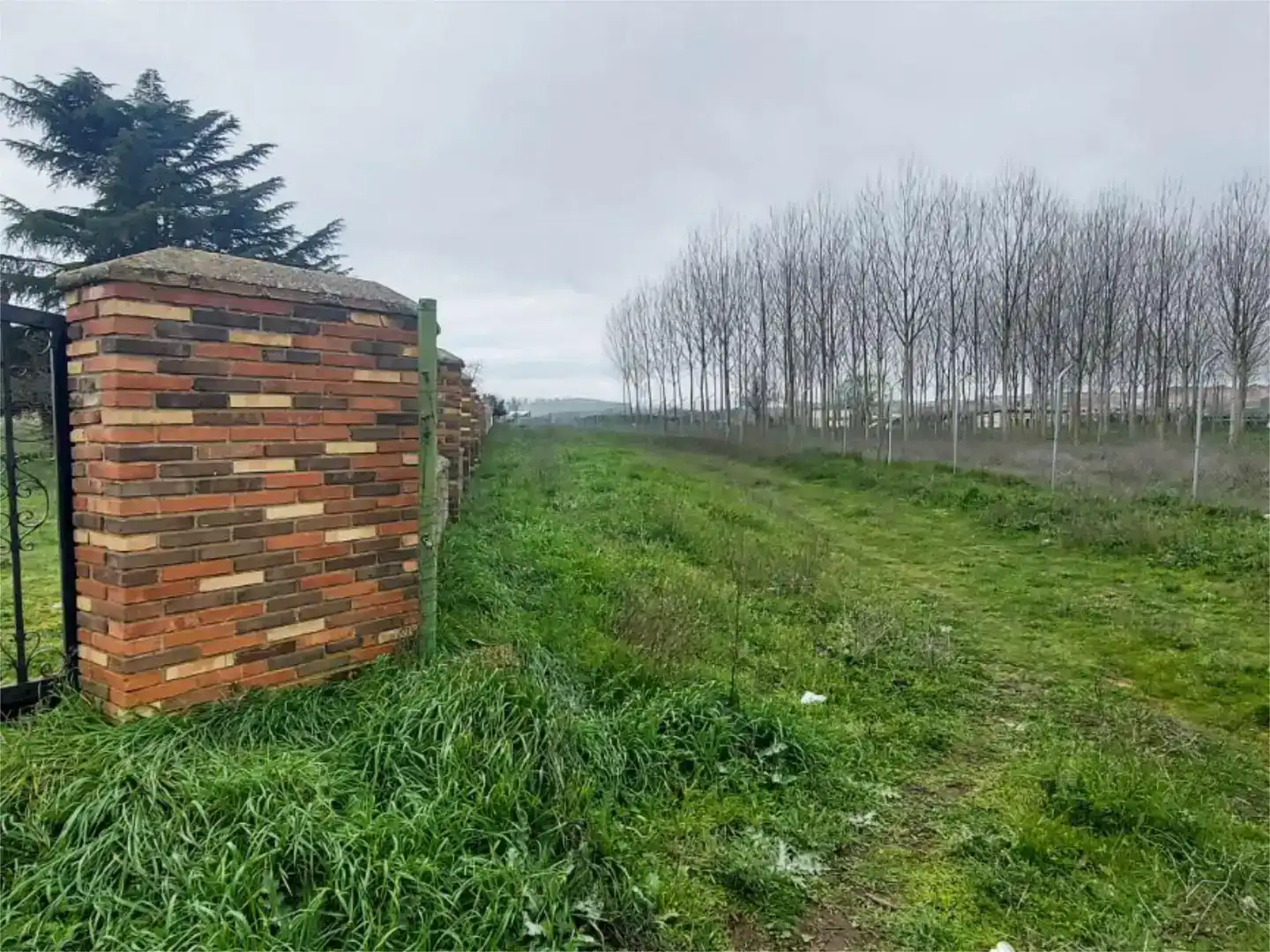 Finca rústica en venda en Rollo - Puente Ladrillo