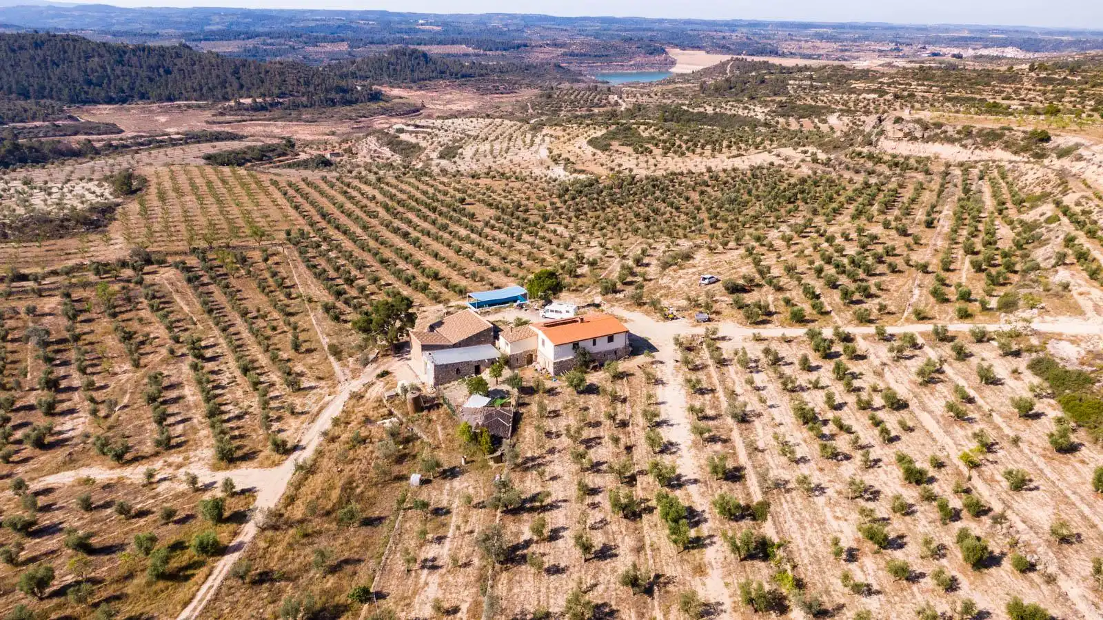 Rural land for sale in Castelldans, imagen 14