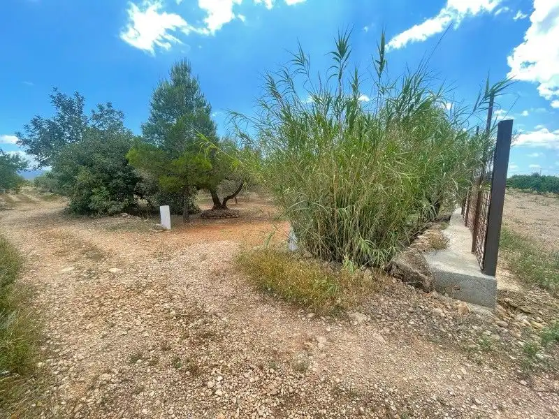 Terreno rustico in vendita a Plaça del Regne d'Espanya 8, imagen 17