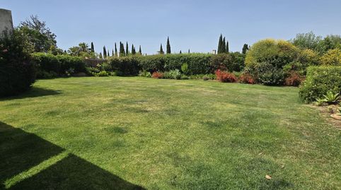 Foto 4 de Casa o chalet de alquiler en Urbanización Villas del Rompido, 32n, El Rompido, Huelva