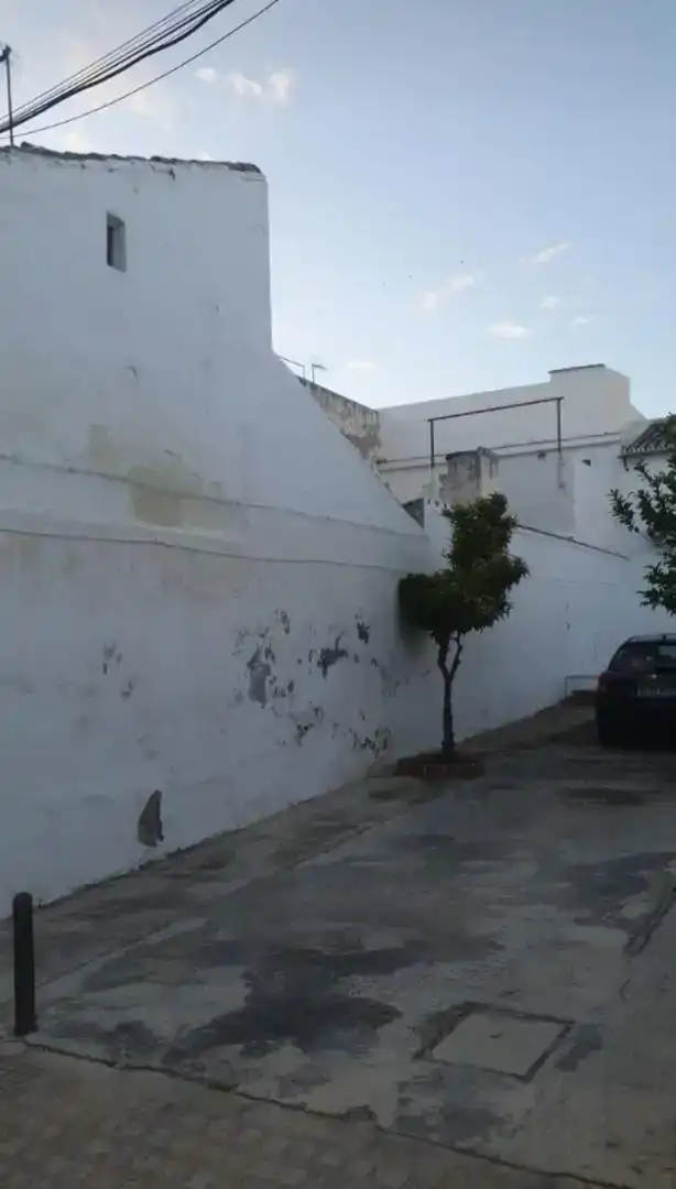 Exterior view of Detached homes for sale in Osuna, Sevilla