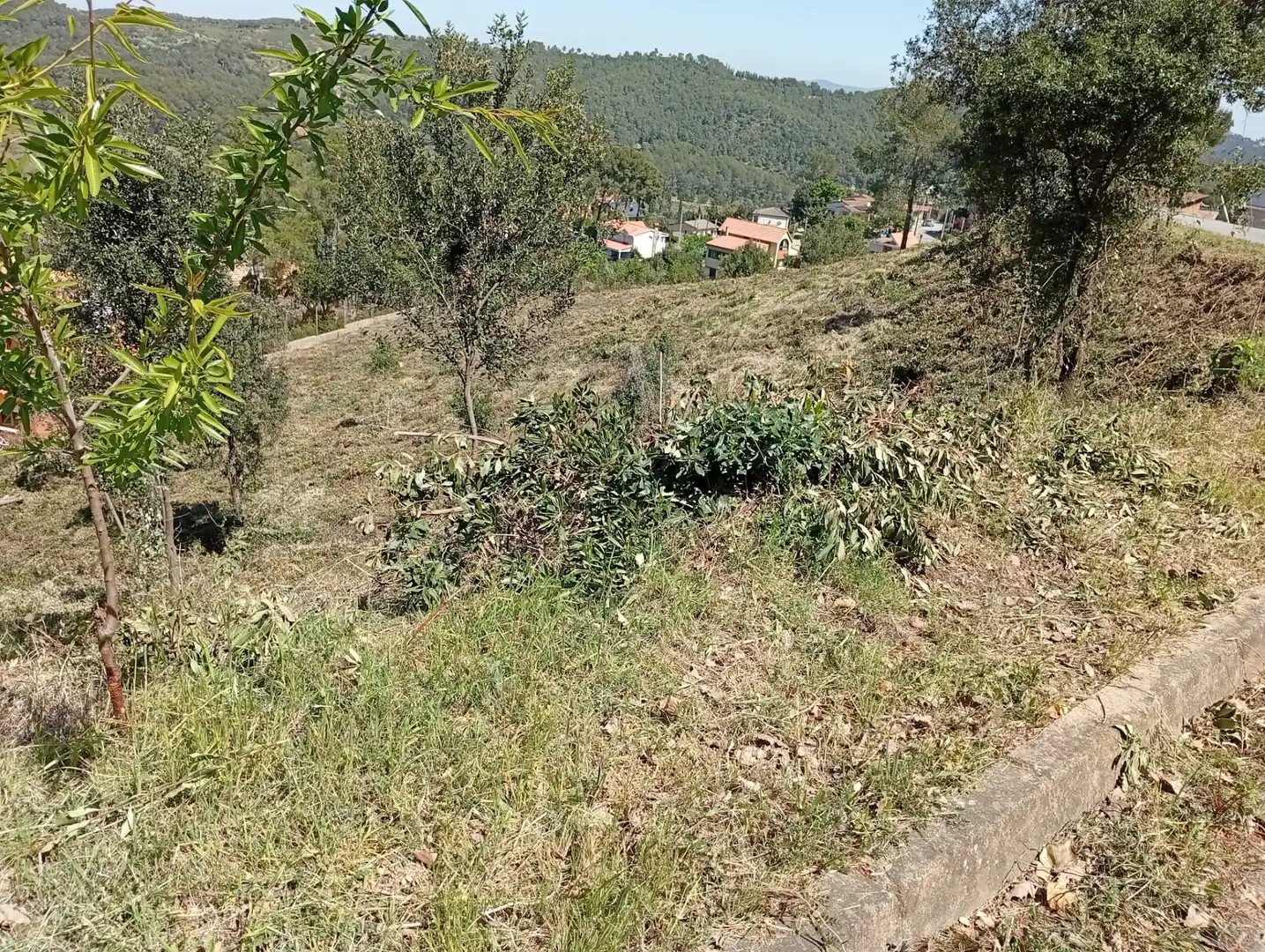 Terreny residencial en venda a Segona Avinguda 78, imagen 7