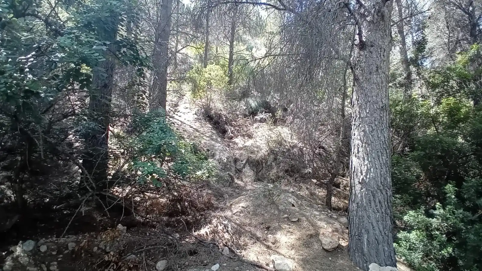 Lands and plots for sale in Mascarat, imagen 10