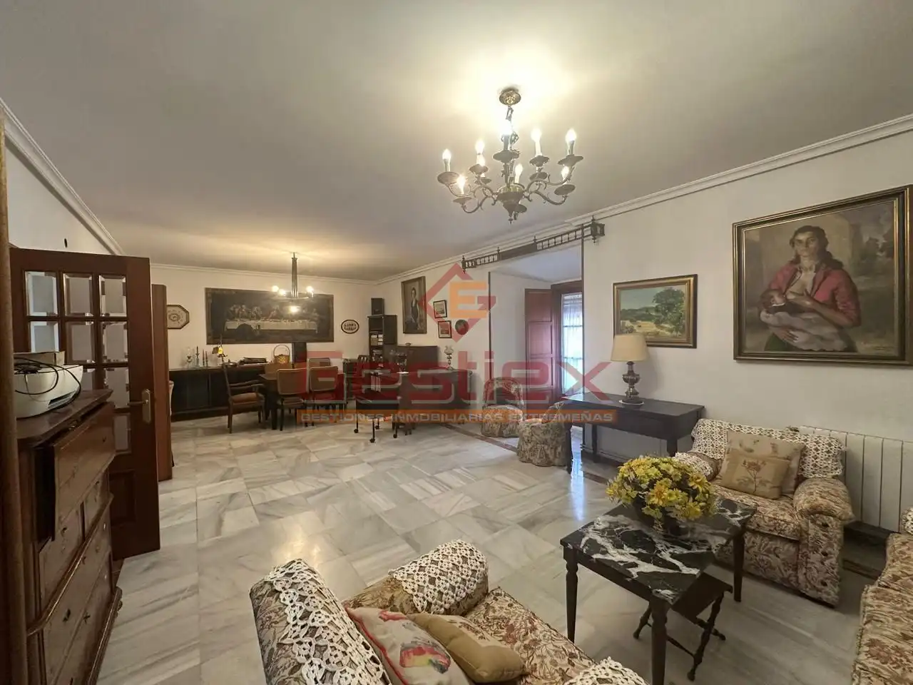 Sala d'estar de Planta baixa en venda en Almendralejo