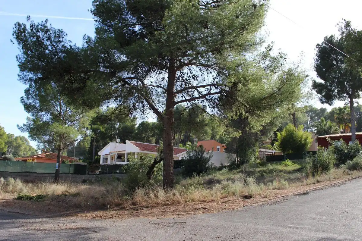 Wohnbaugrundstück zum Verkauf in Torres Torres, imagen 12
