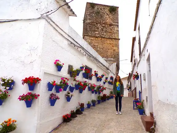 Casa rústica amb piscina en venda a Calle de Antonio Machado, imagen 7