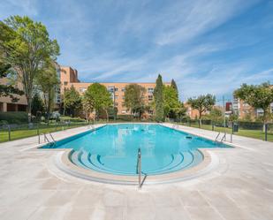 Swimming pool of Study for sale in  Madrid Capital  with Air Conditioner, Storage room and Community pool
