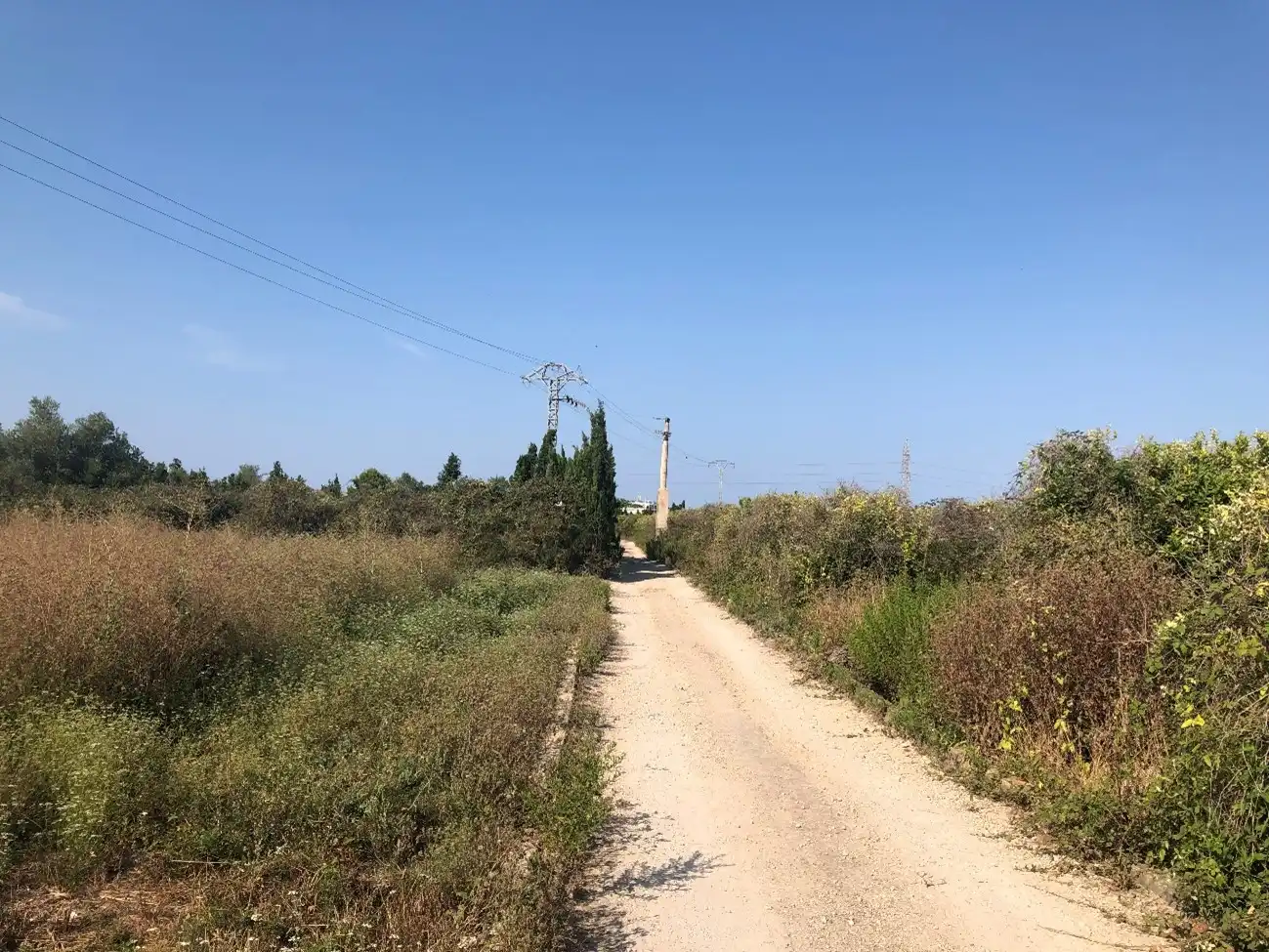 Terreny rústic en venda a Ptda Cañades, PP Sc Camí al Mar, imagen 6